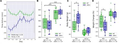 BDNF Val66Met Polymorphism Reduces the Fatigue-Like Effects of 5-Fluorouracil on Voluntary Wheel-Running Activity in Mice